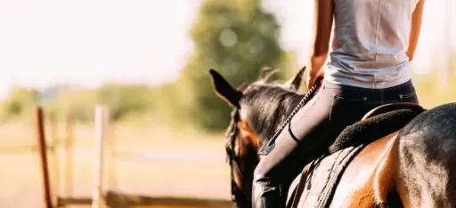 Lezione di Equitazione 2