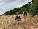 passeggiate-cavallo-puglia-667d7425b34f9.webp