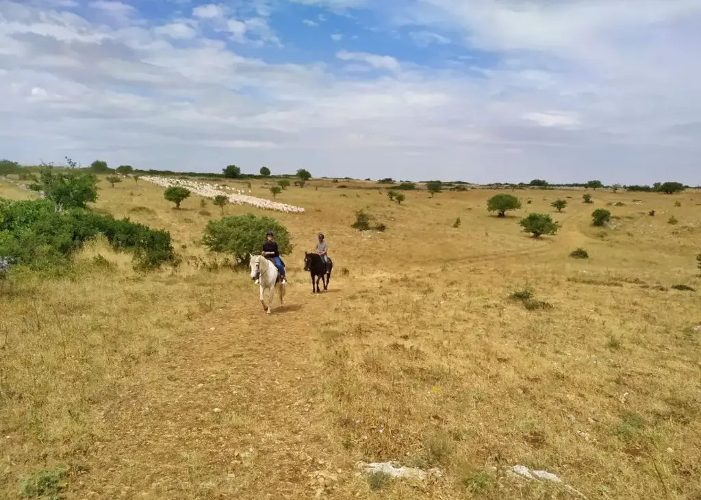 passeggiate-cavallo-puglia-667d74274e30f.webp