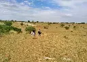 passeggiate-cavallo-puglia-667d74274e30f.webp